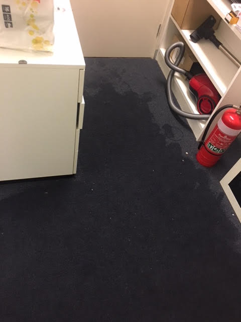 water-damaged-carpet